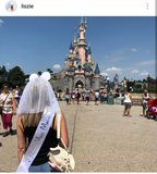 Happily Ever After Veil